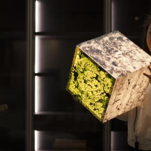 Ambient light cube lamp with a stone pattern and green leaves Ambient light cube lamp with a stone pattern and green leaves. A beautiful girl looking on the design lighting