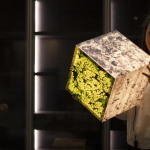 Ambient light cube lamp with a stone pattern and green leaves. A beautiful girl looking on the design lighting